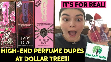 dollar tree perfume dupes for ladies|touchland dupes at dollar tree.